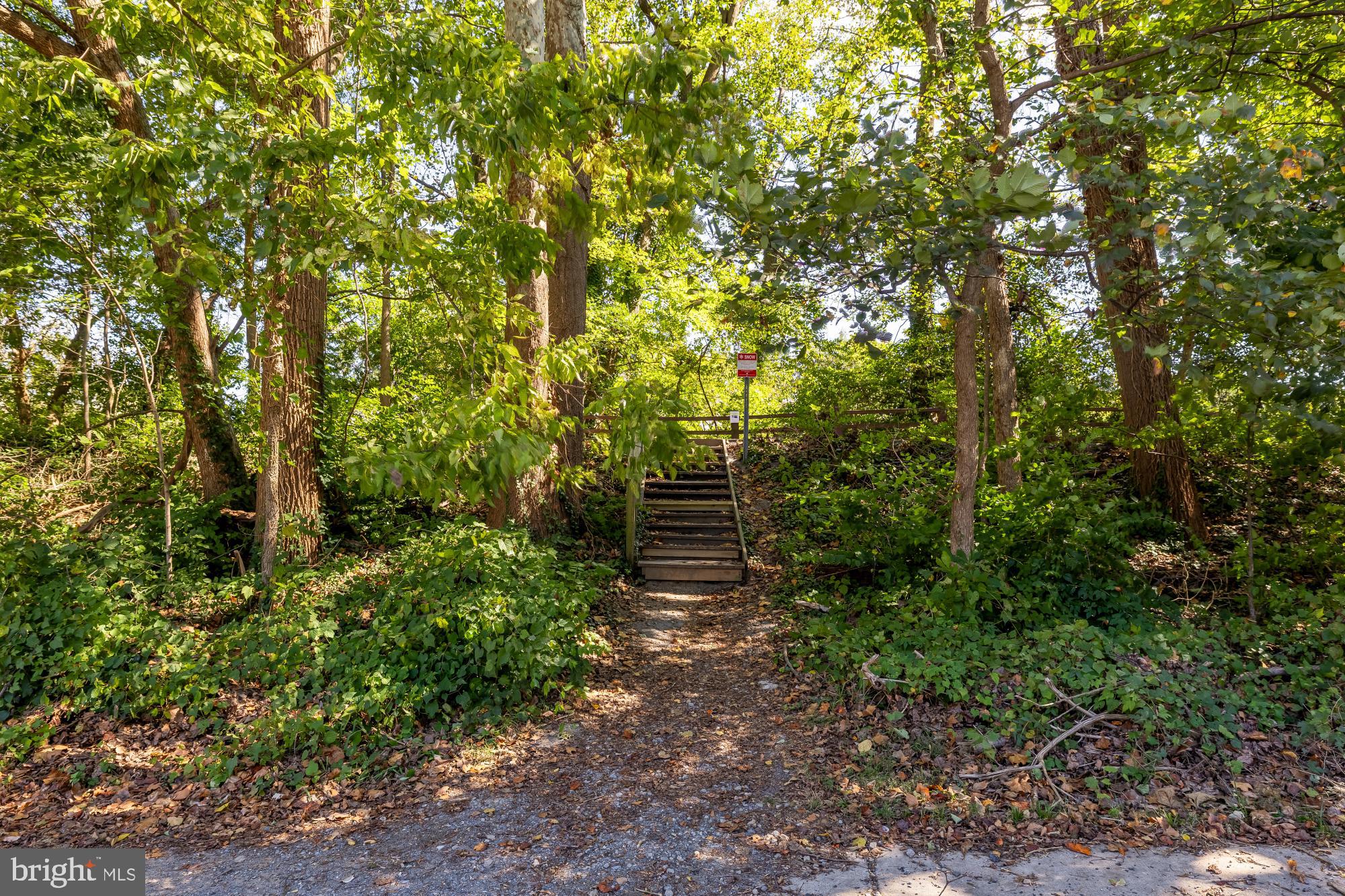 6723 Fairfax Road, Unit 15 Chevy Chase, MD 20815 - Photo 42 of 43 a backyard of a house with lots of green space