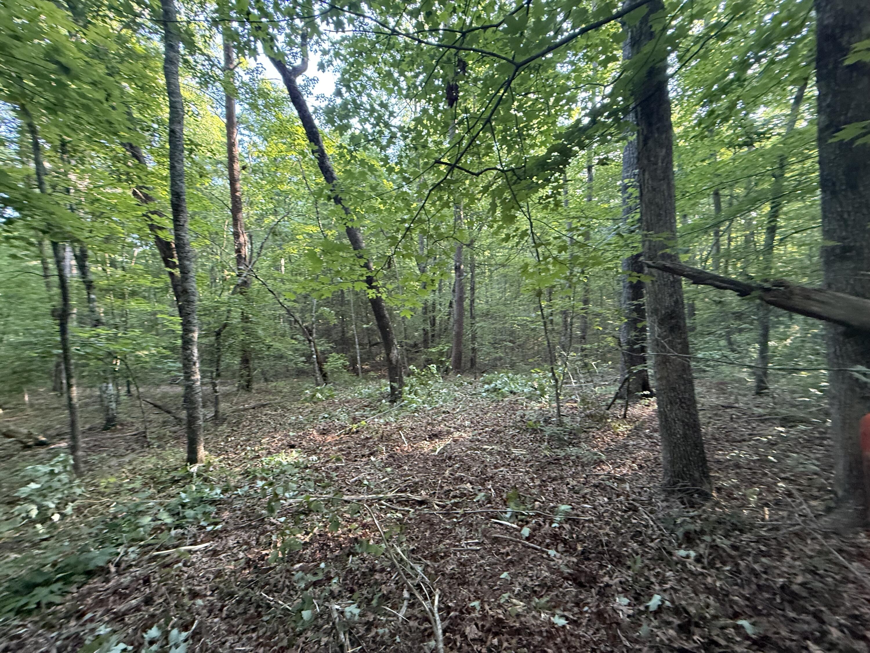 1672 Besstown Road Beersheba Springs, TN 37305 - Photo 8 of 11 IMG_6477