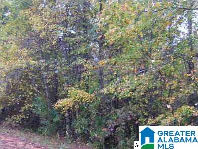 609 County Road, Unit 27 Wedowee, AL 36278 - Photo 2 of 4