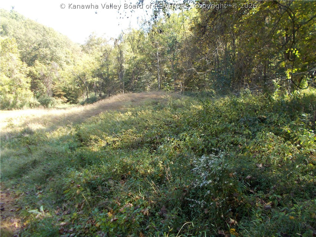 0 Mud Lick Road Liberty, WV 25124 - Photo 15 of 30 Gallery Image 15