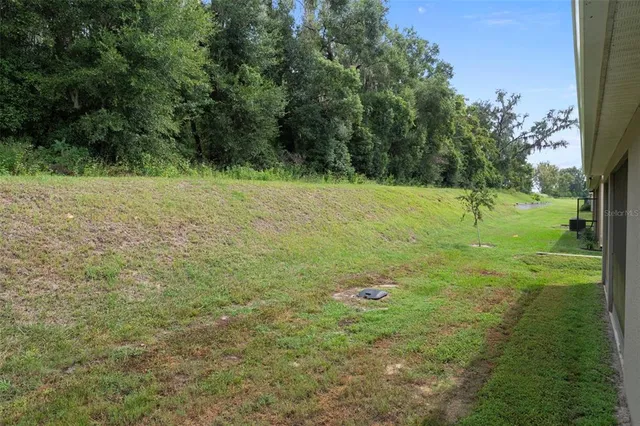 a view of a field with a tree