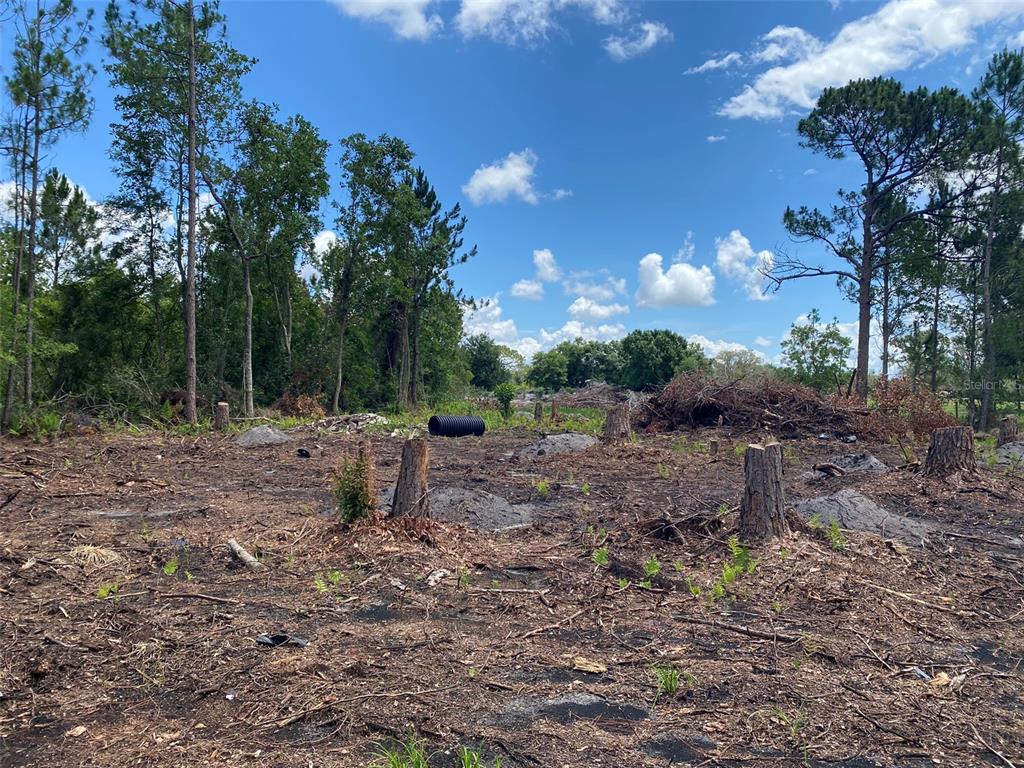 2101 West Frostproof Rd  