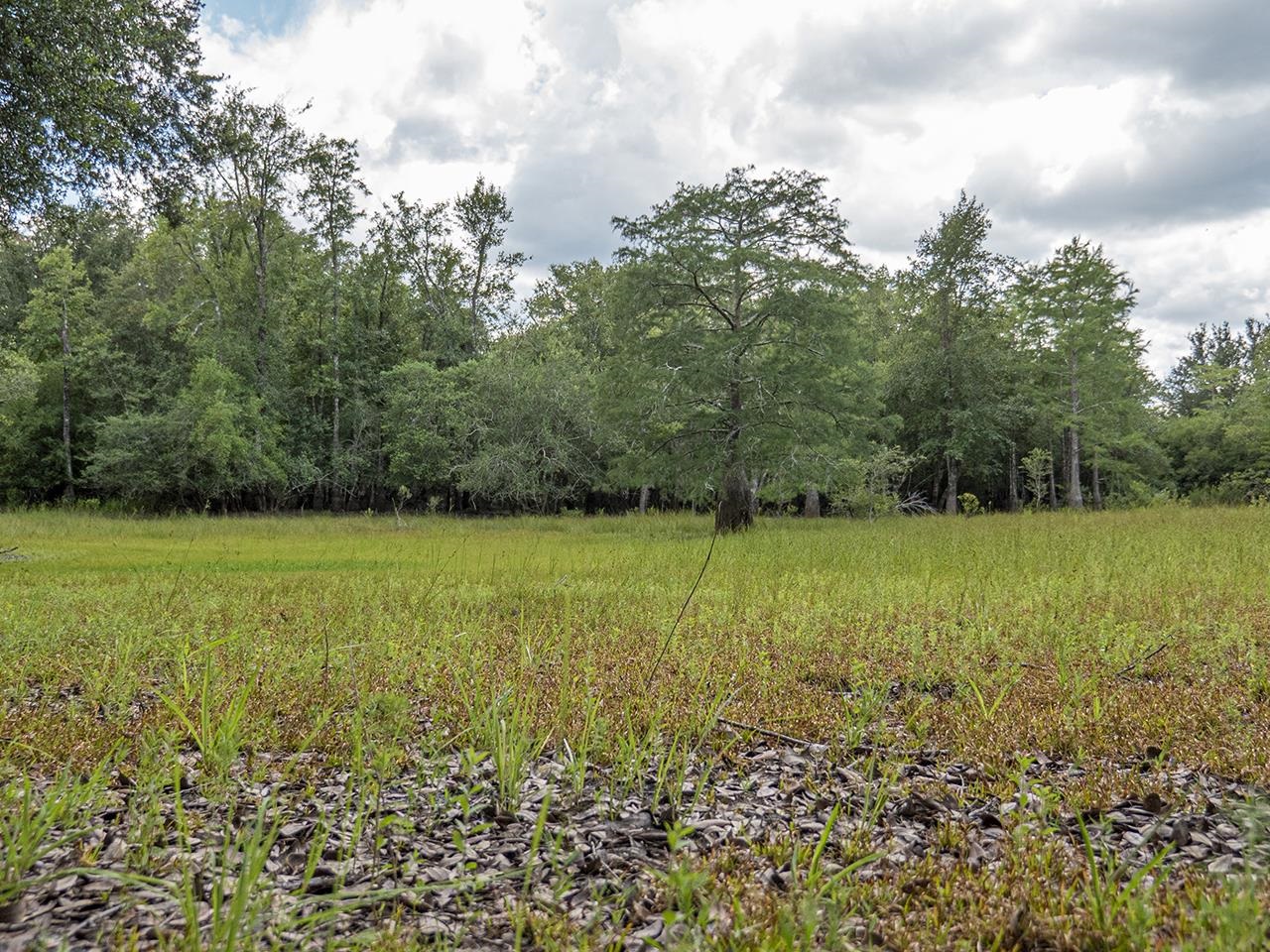 Vacant Southwest Hike Lake Road Madison, FL 32340 - Photo 26 of 35