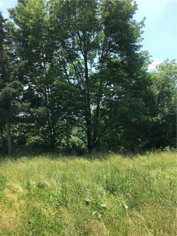 2171 County Highway Otego, NY 13825 - Photo 9 of 9