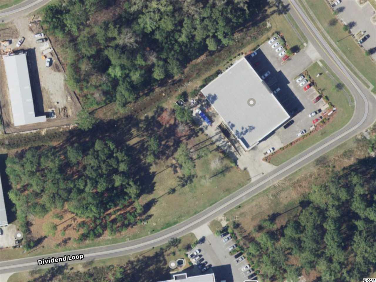 Lot 67 Dividend Loop Myrtle Beach, SC 29577 - Photo 4 of 4 Gallery Image 4