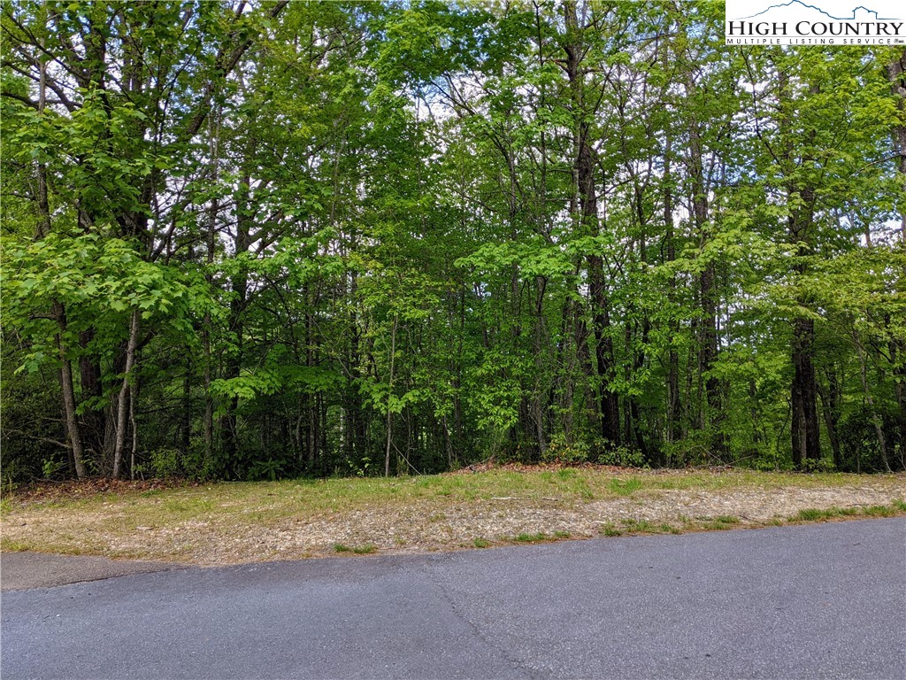 High Hollow Road Deep Gap, NC 28618 - Photo 2 of 15 Gallery Image 2