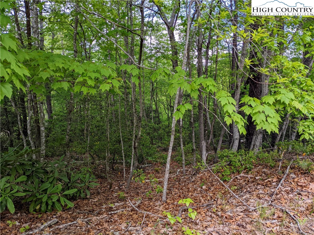 High Hollow Road Deep Gap, NC 28618 - Photo 3 of 15 Gallery Image 3