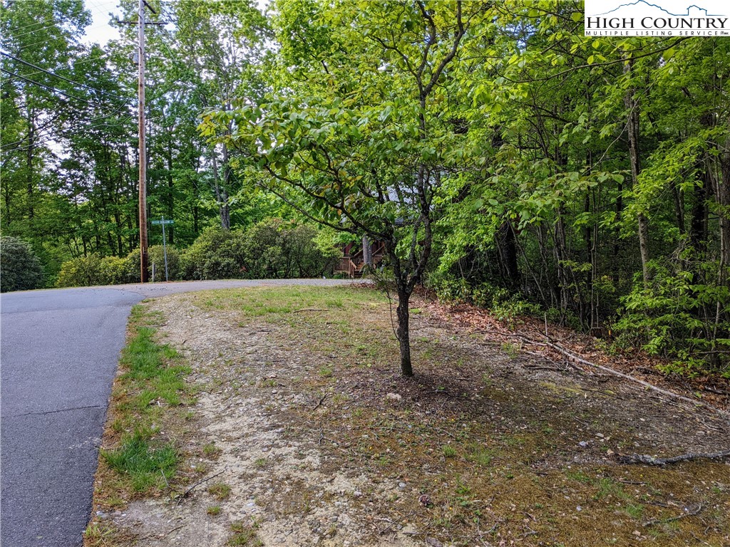 High Hollow Road Deep Gap, NC 28618 - Photo 4 of 15 Gallery Image 4