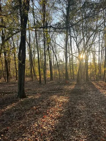 $9,000 | 0 Marta Street, Bamberg, SC 29003