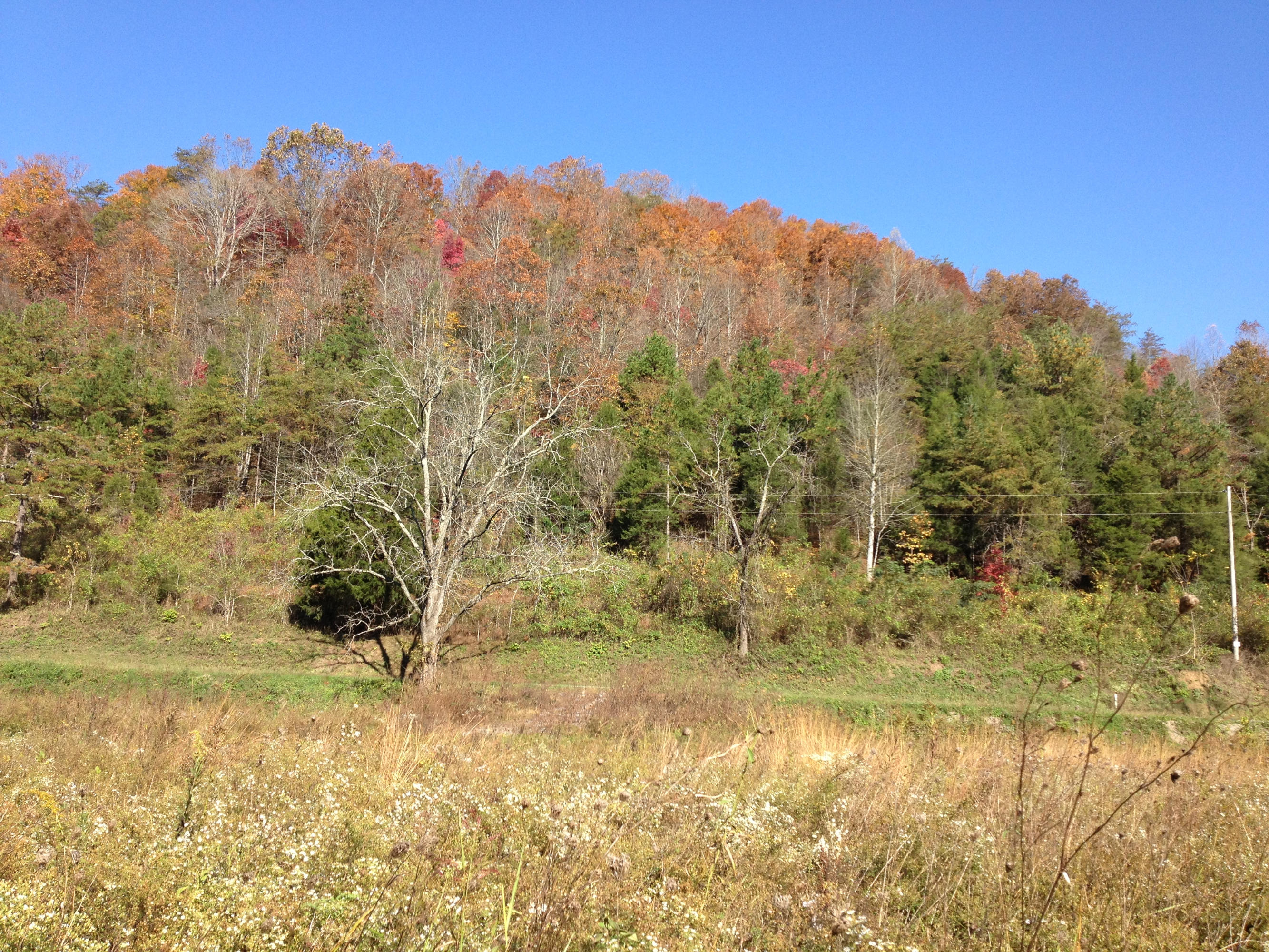 Lot 10 Alder Road Kyles Ford, TN 37765 - Photo 2 of 8 070