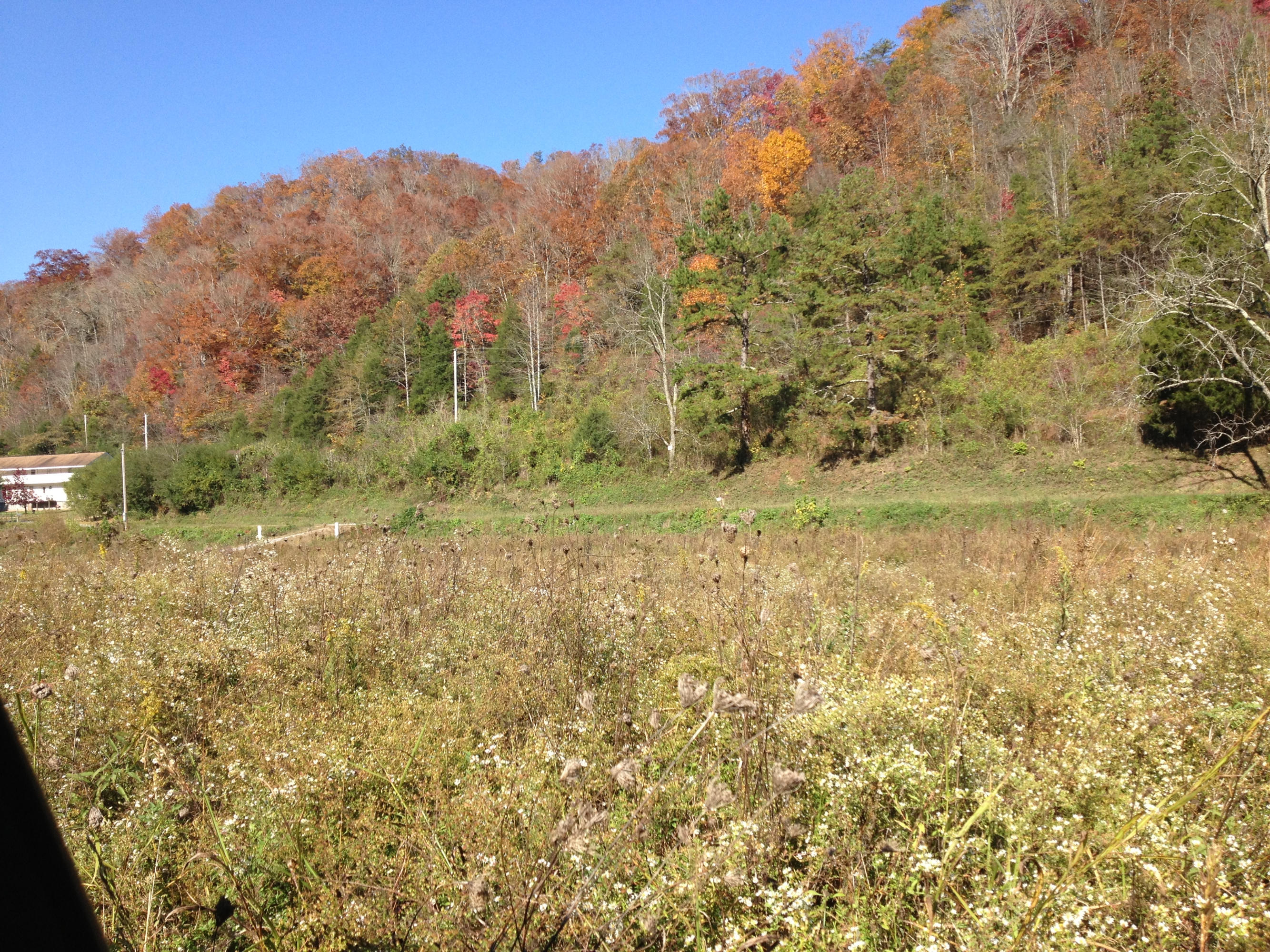 Lot 10 Alder Road Kyles Ford, TN 37765 - Photo 3 of 8 072