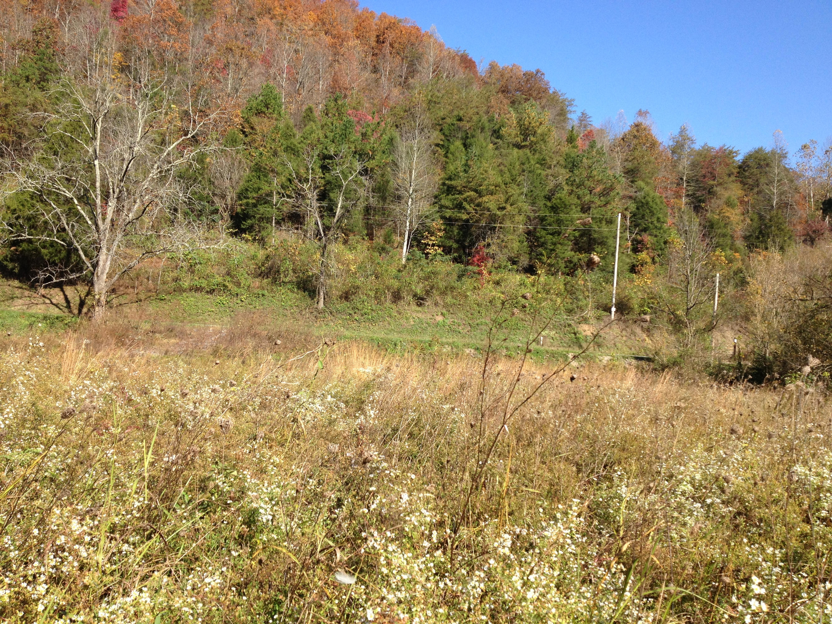 Lot 10 Alder Road Kyles Ford, TN 37765 - Photo 4 of 8 073