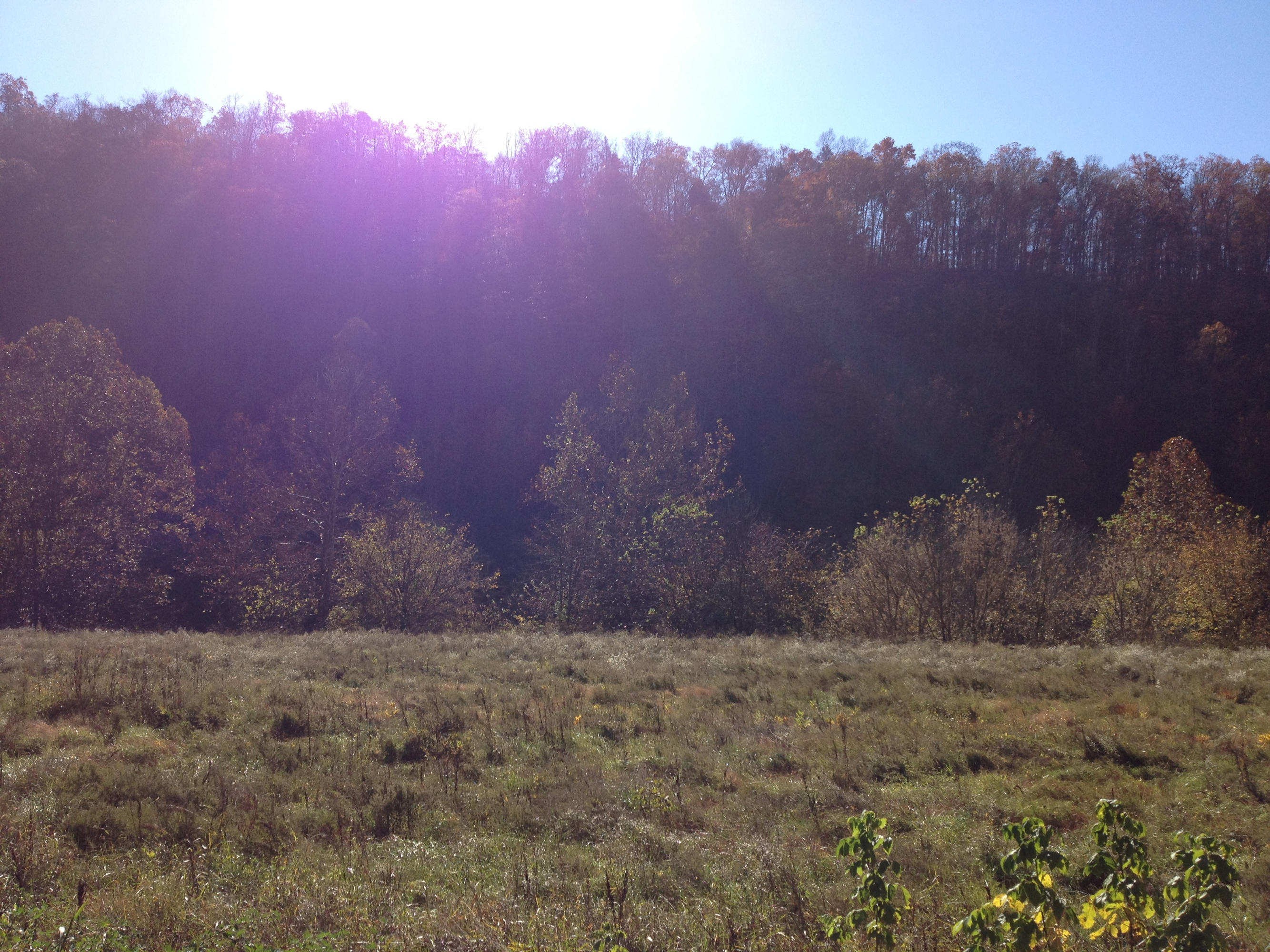 Lot 10 Alder Road Kyles Ford, TN 37765 - Photo 5 of 8 074