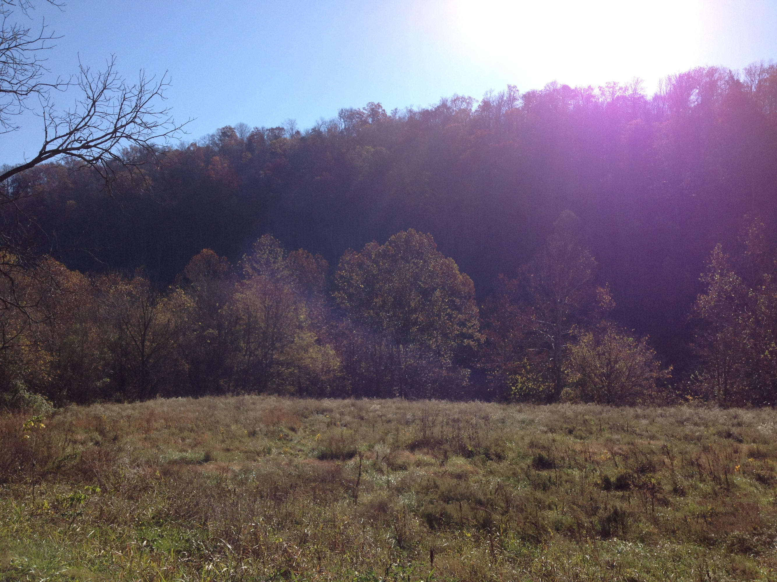 Lot 10 Alder Road Kyles Ford, TN 37765 - Photo 6 of 8 077