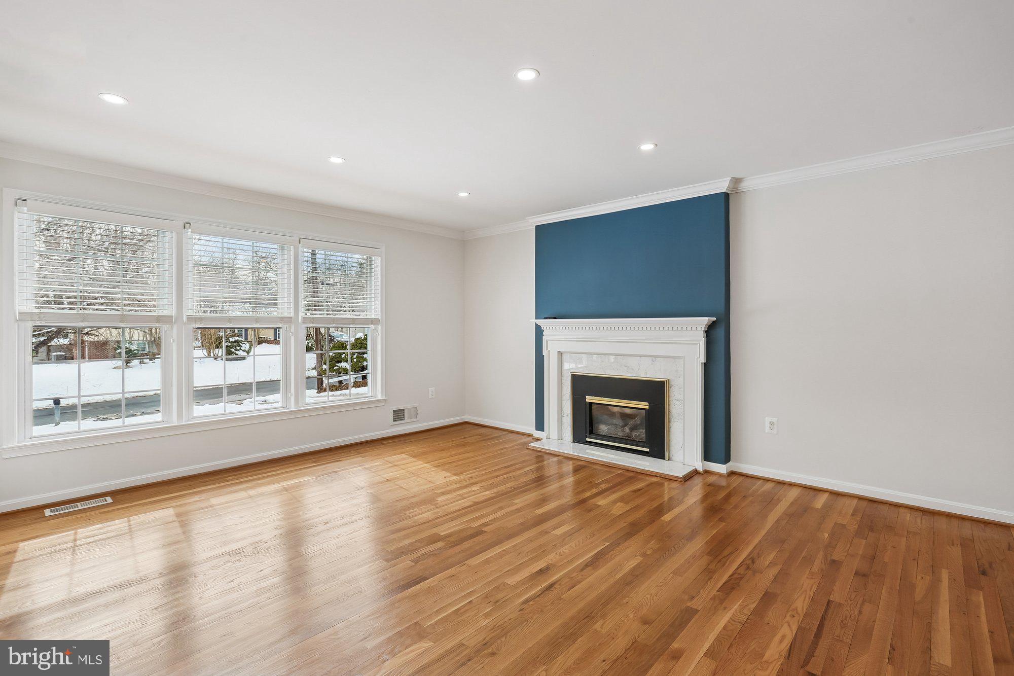513 Beaumont Road Silver Spring, MD 20904 - Photo 11 of 58 Living Room Area. Gas Fireplace