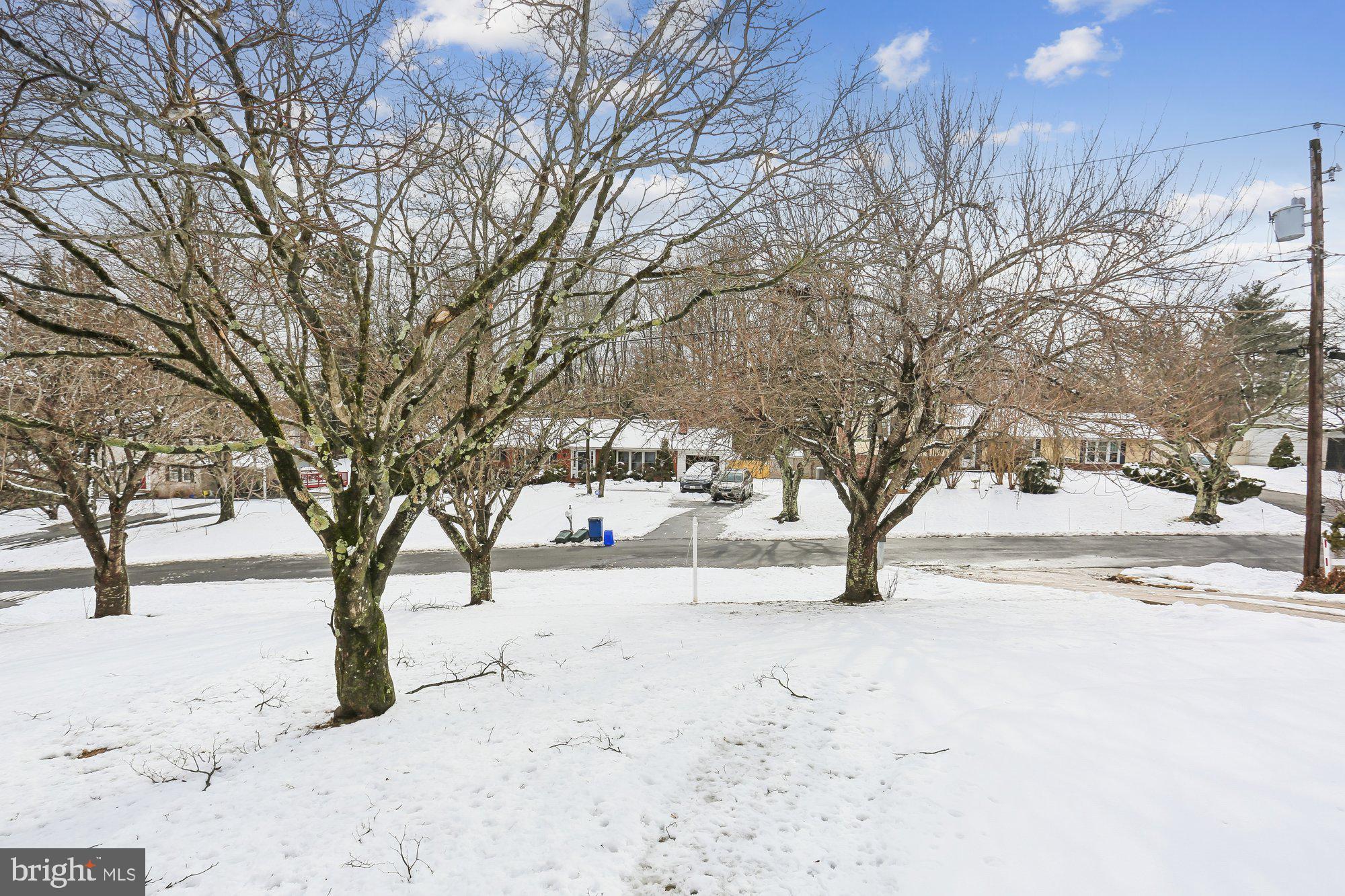 513 Beaumont Road Silver Spring, MD 20904 - Photo 43 of 58 View from the Front Door