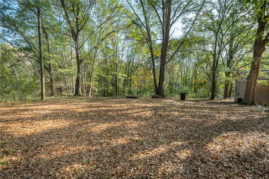 1401 Lebanon Road Pendleton, SC 29670 - Photo 21 of 24