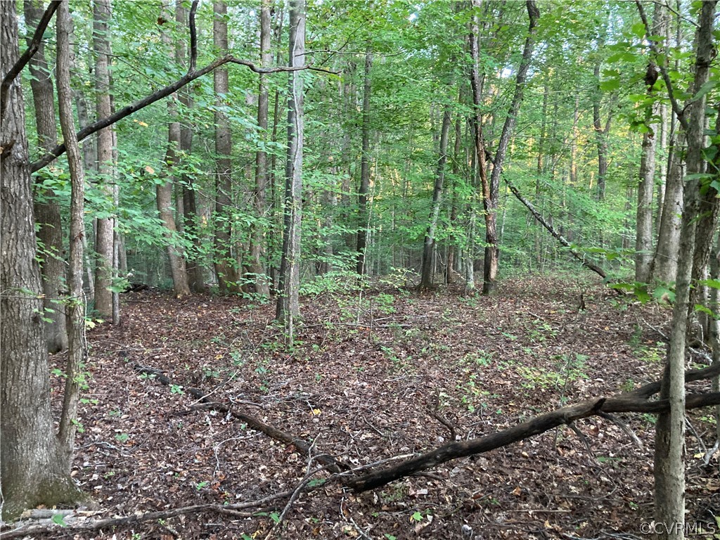 4322 Worsham Road Powhatan, VA 23139 - Photo 7 of 30 Gallery Image 7