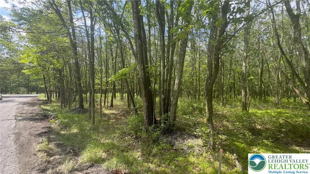 a view of outdoor space and trees