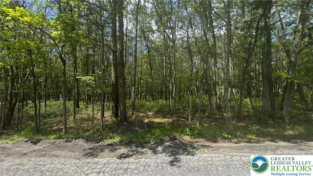 a view of outdoor space and tree