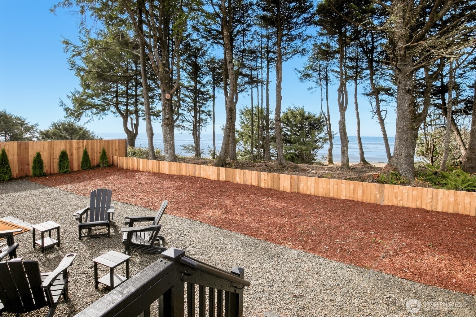 a view of backyard with trees