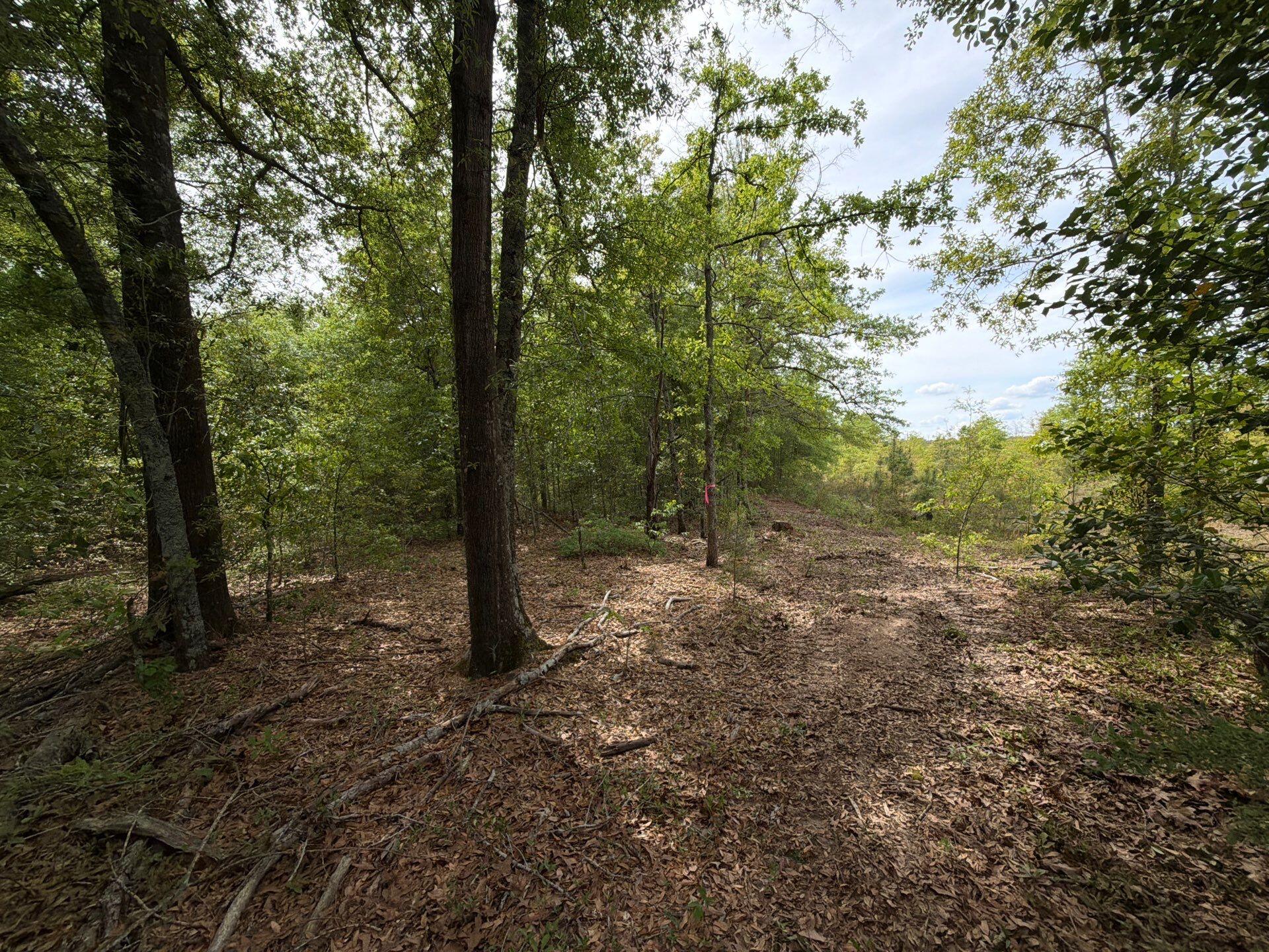 1 Rogers Cemetery Road, Unit RRF 1 Salley, SC 29137 - Photo 39 of 40
