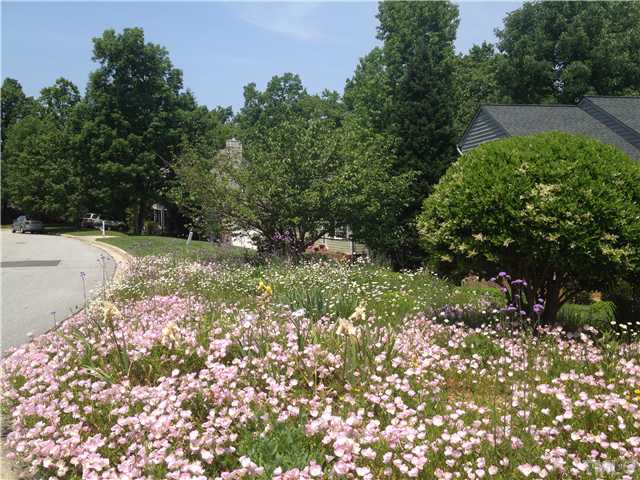 101 Ripley Court Cary, NC 27513 - Photo 2 of 23 Gallery Image 2