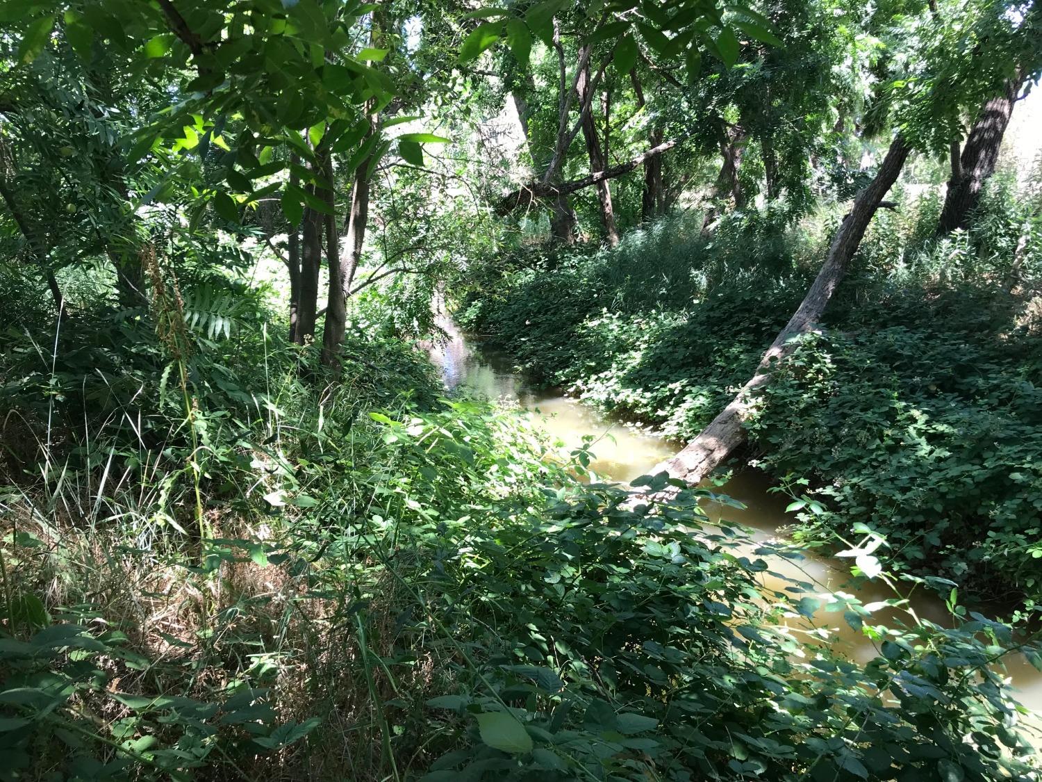 0 County Road 30 Davis, CA 95616 - Photo 4 of 15 a view of a tree in a garden