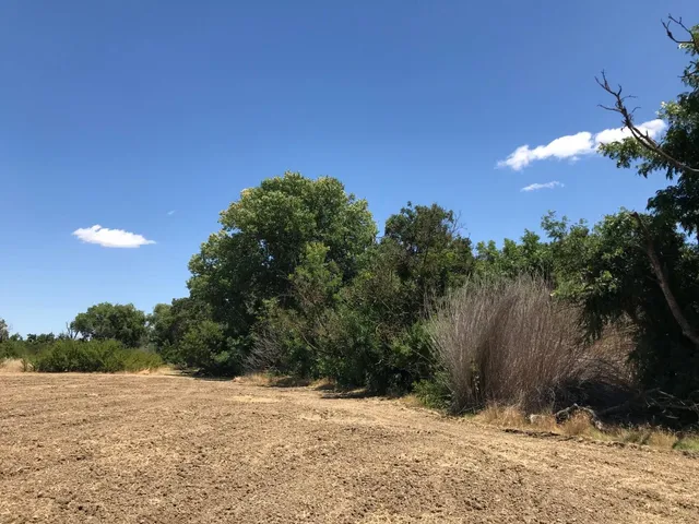 $725,000 | 0 County Road 30, Davis, CA 95616