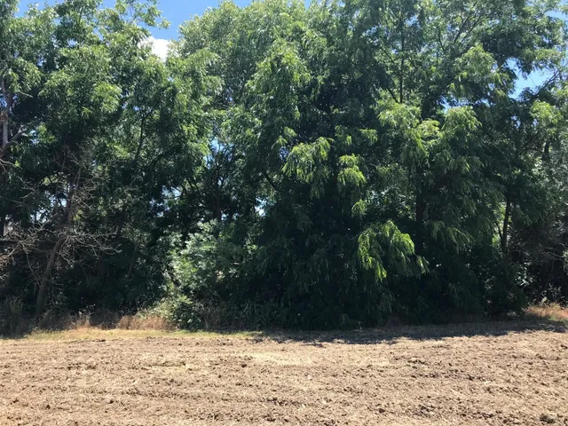 $725,000 | 0 County Road 30, Davis, CA 95616