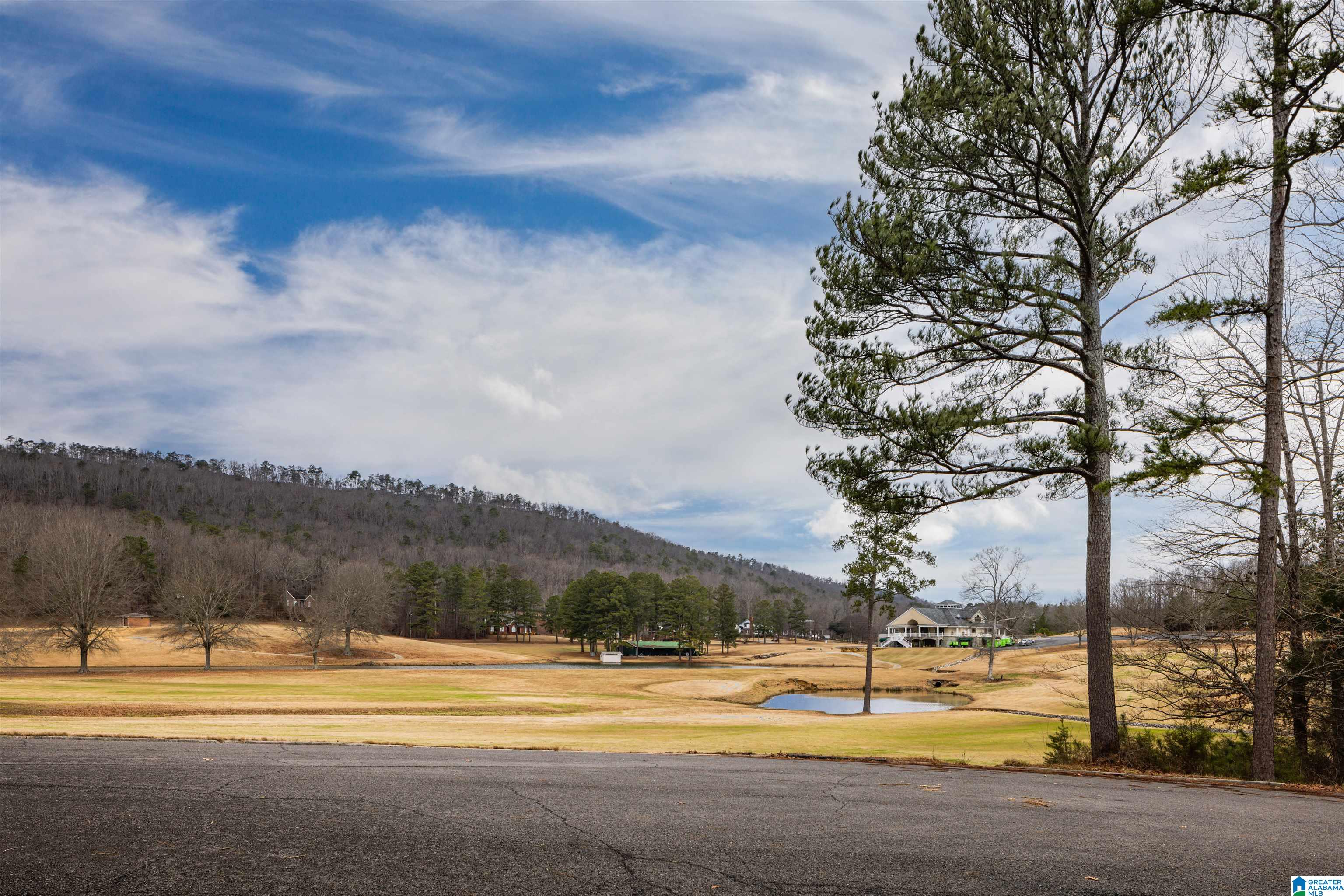 1 Heritage Road Oneonta, AL 35121 - Photo 66 of 74