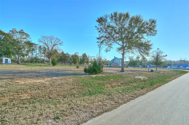 a view of outdoor space with green field and trees