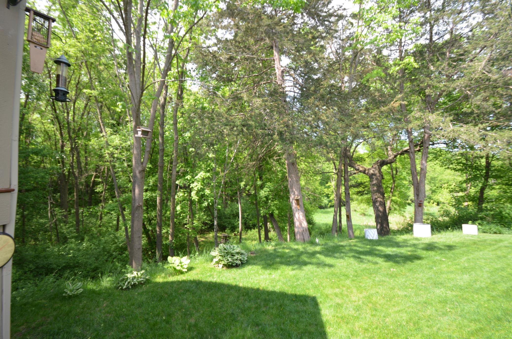 31066 Cedar Ridge Drive Lindstrom, MN 55045 - Photo 36 of 43