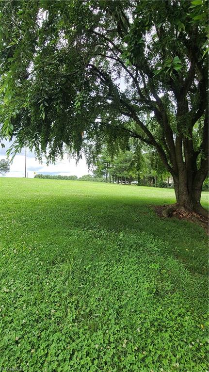 125 Mills Road Mount Airy, NC 27030 - Photo 9 of 43 Gallery Image 9