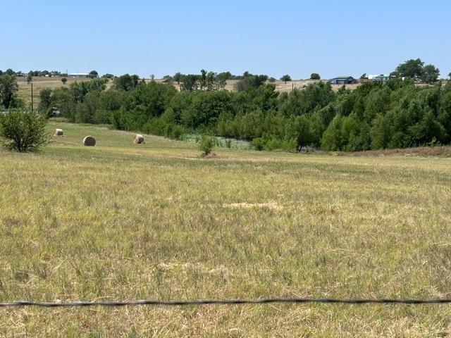195 Whitworth Road Whitewright, TX 75491 - Photo 39 of 40 Gallery Image 39