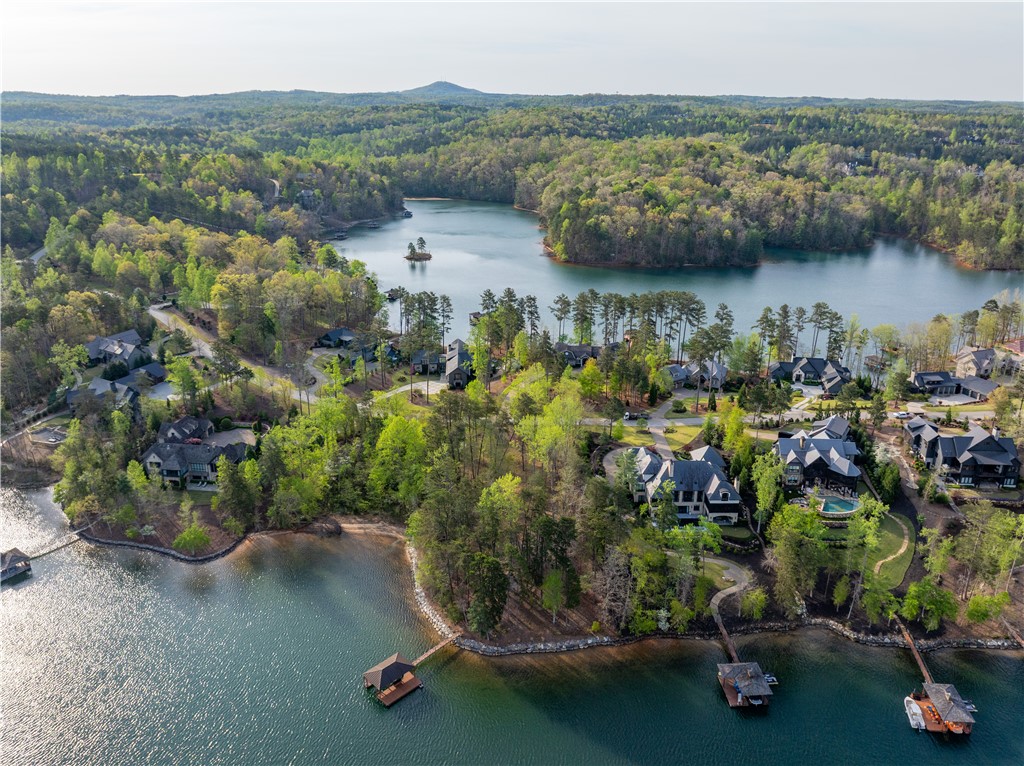 390 Peninsula Ridge Sunset, SC 29685 - Photo 6 of 35