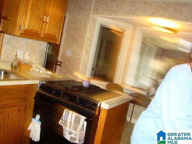 11877 Highway 431 Ohatchee, AL 36271 - Photo 11 of 32