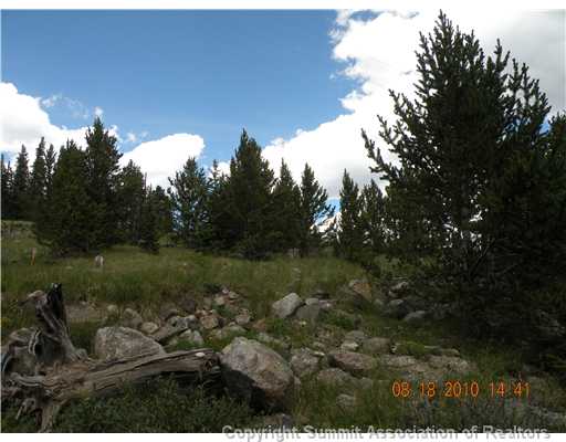 74 Ron's Road Alma, CO 80420 - Photo 2 of 9 Gallery Image 2