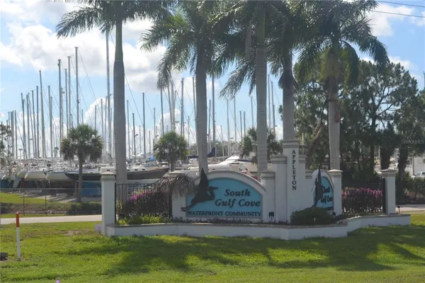 a view of a water with palm trees