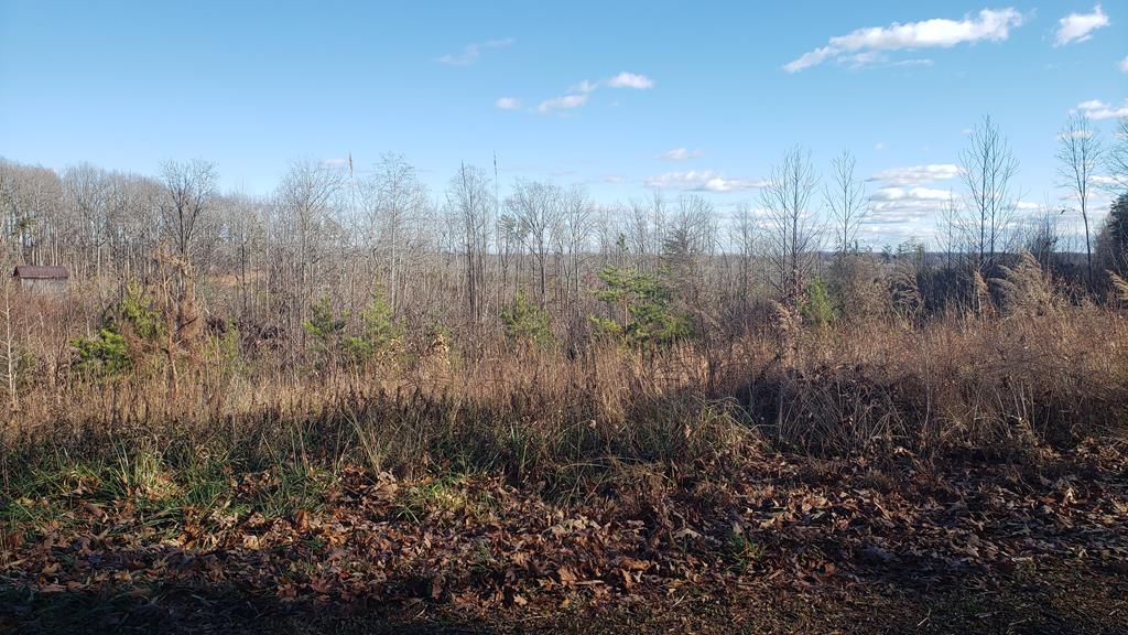 609 Crumptown Road Farmville, VA 23901 - Photo 1 of 2 Gallery Image 1