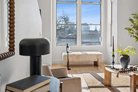 a living room with furniture and a potted plant