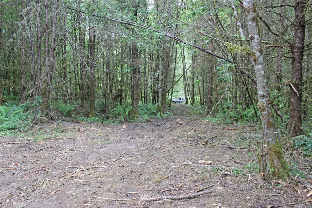 0 Hurst Road Toledo, WA 98591 - Photo 2 of 24 Gallery Image 2