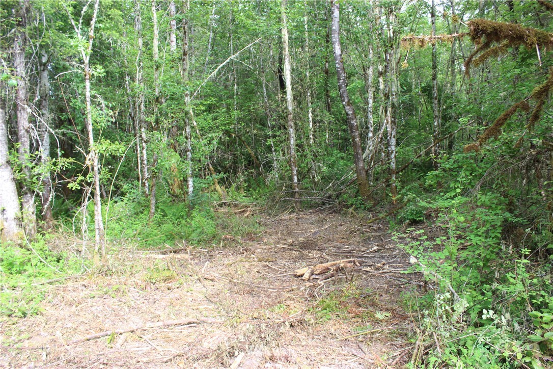 0 Hurst Road Toledo, WA 98591 - Photo 11 of 24 Gallery Image 11