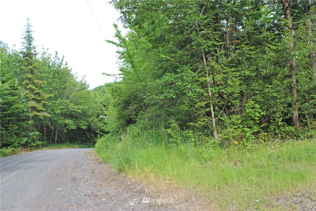 0 Hurst Road Toledo, WA 98591 - Photo 12 of 24 Gallery Image 12
