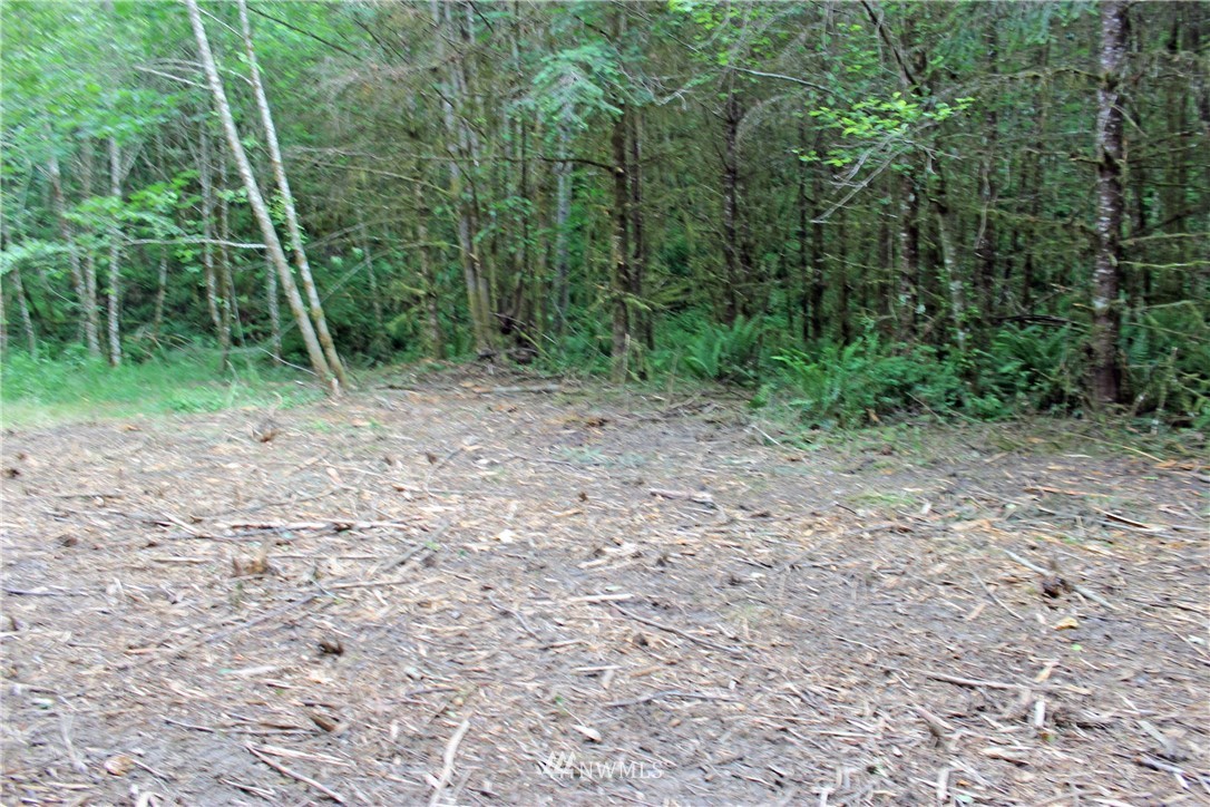 0 Hurst Road Toledo, WA 98591 - Photo 15 of 24 Gallery Image 15