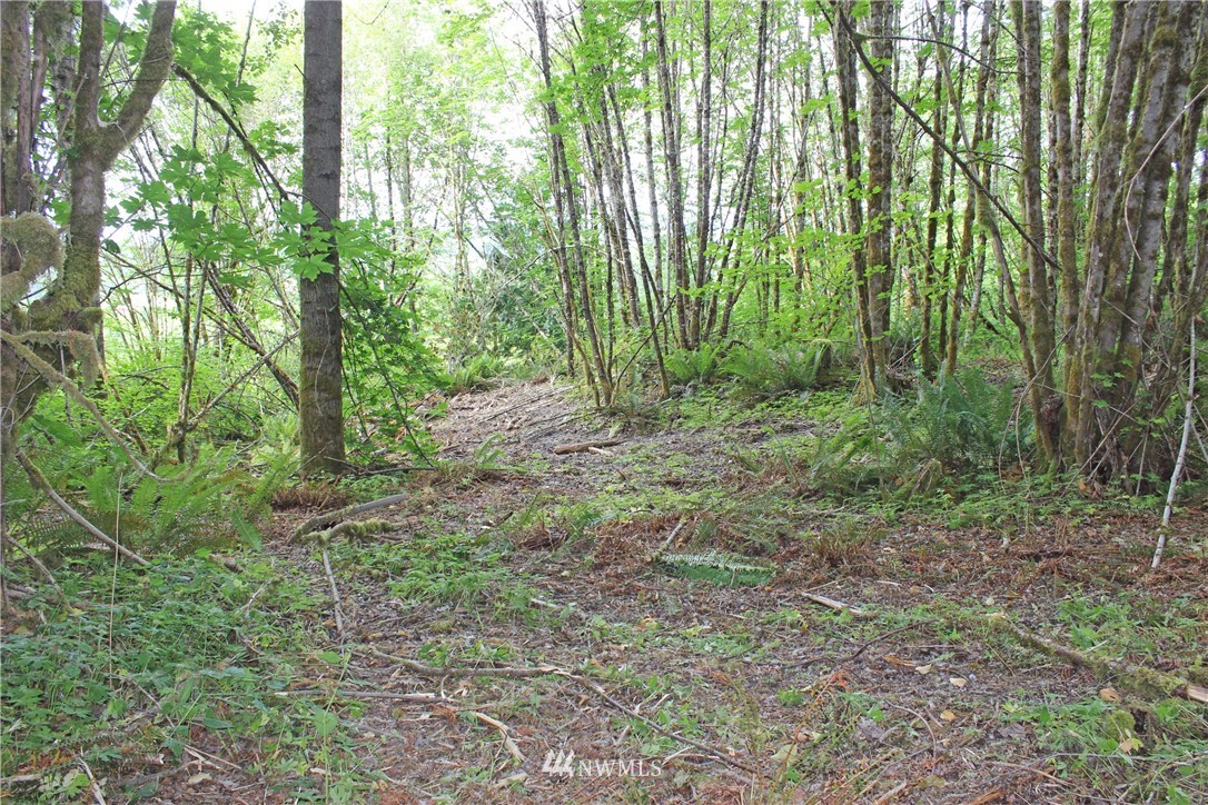 0 Hurst Road Toledo, WA 98591 - Photo 19 of 24 Gallery Image 19