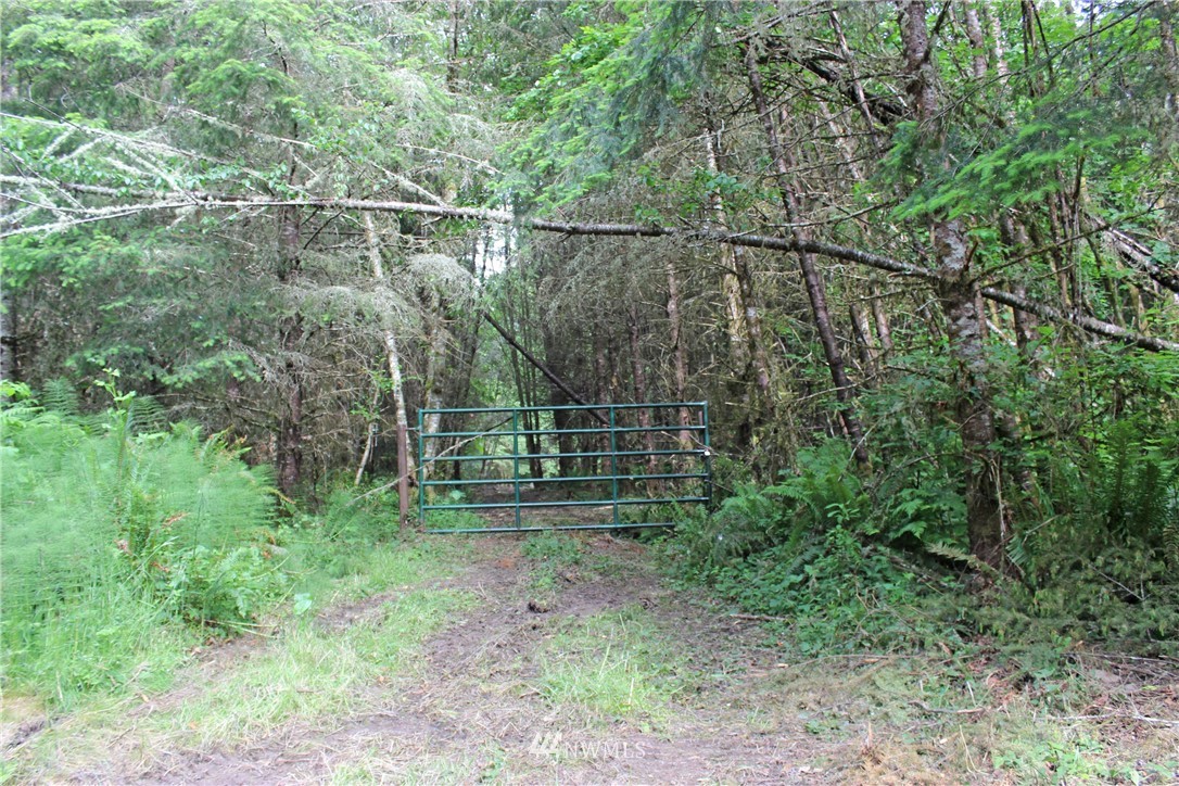 0 Hurst Road Toledo, WA 98591 - Photo 22 of 24 Gallery Image 22