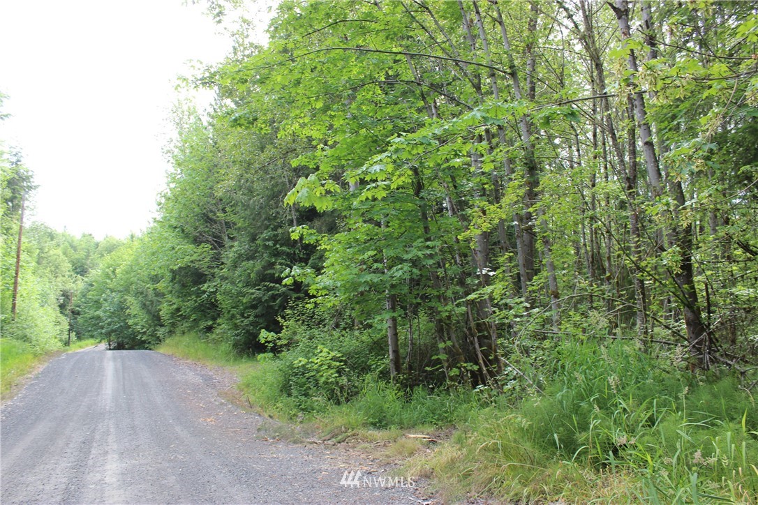 0 Hurst Road Toledo, WA 98591 - Photo 23 of 24 Gallery Image 23