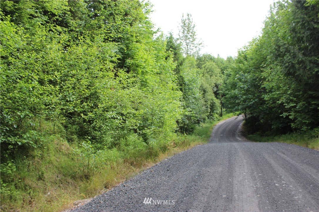 0 Hurst Road Toledo, WA 98591 - Photo 24 of 24 Gallery Image 24