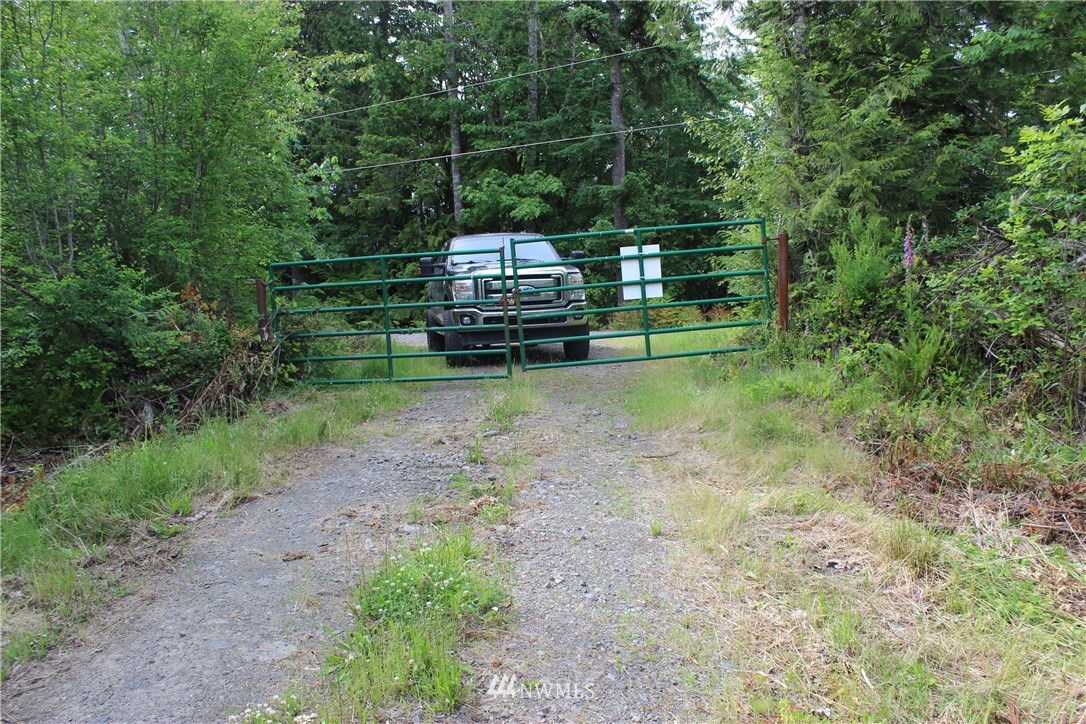 0 Hurst Road Toledo, WA 98591 - Photo 4 of 24 Gallery Image 4